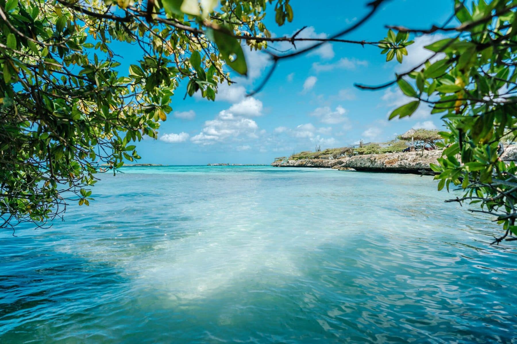 mangel-halto-beach-featured