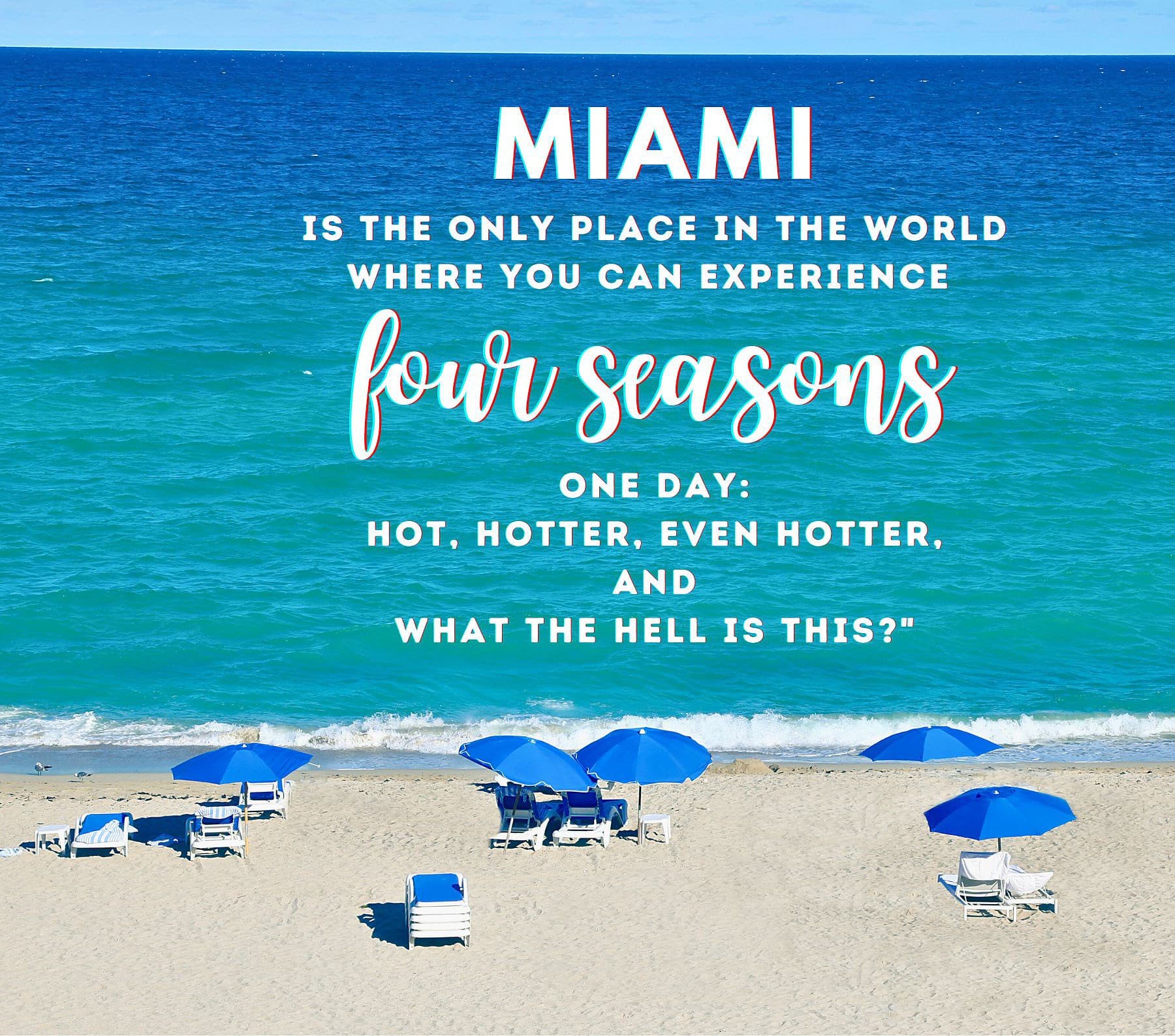 Funny Quotes about Miami. Miami is the only place in the world where you can experience four seasons in one day: hot, hotter, even hotter, and what the hell is this?