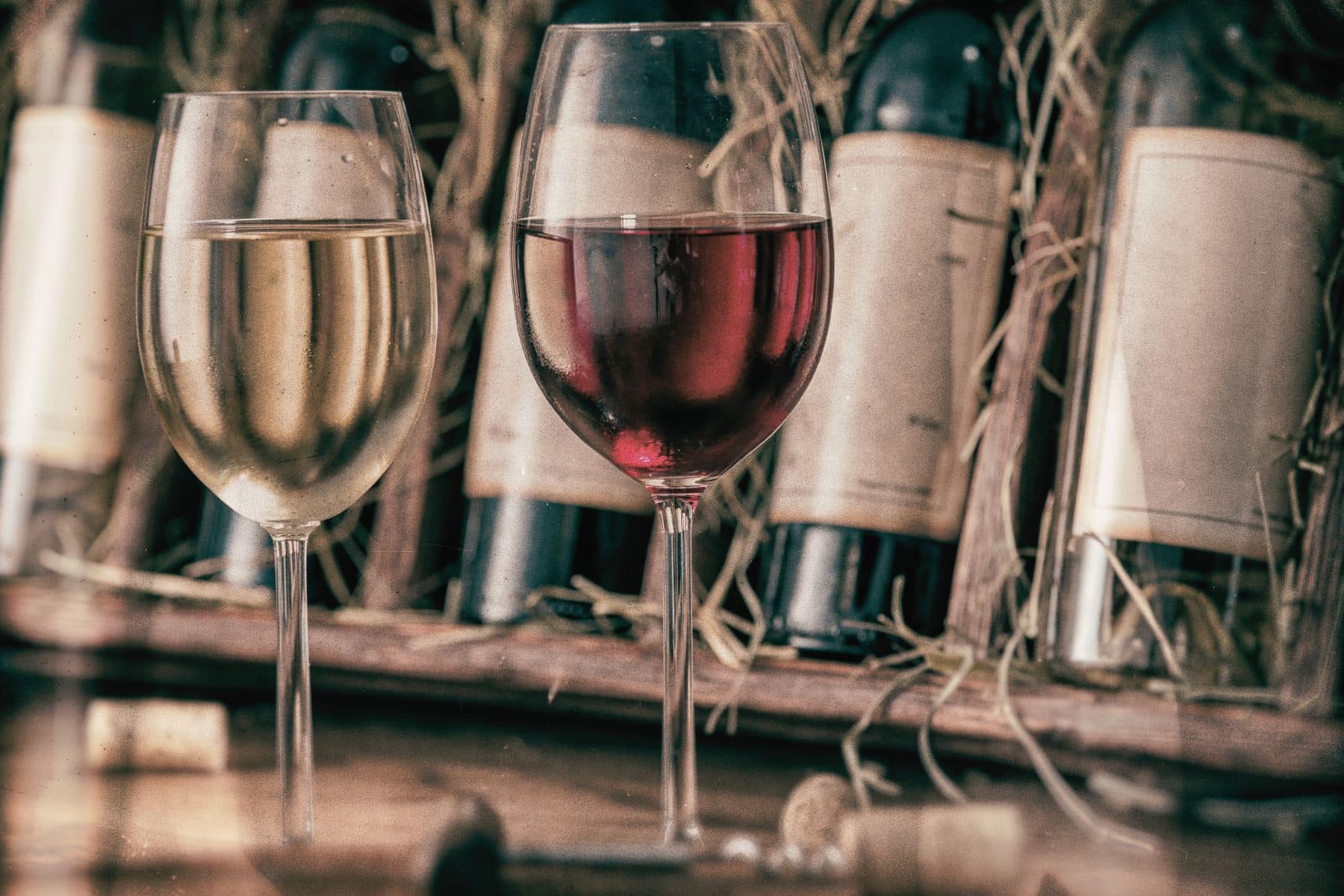 wine tasting