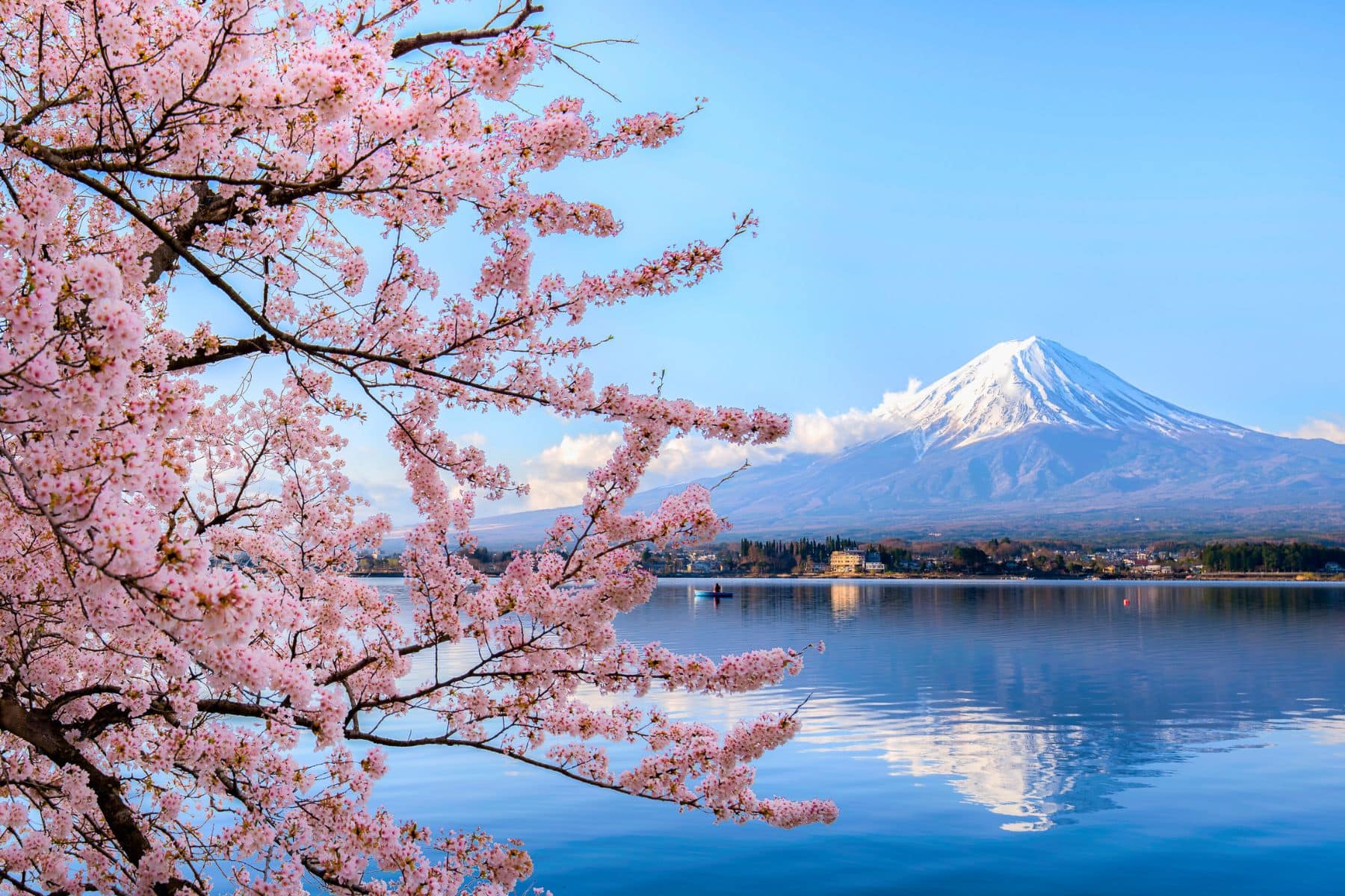 Mount Fuji