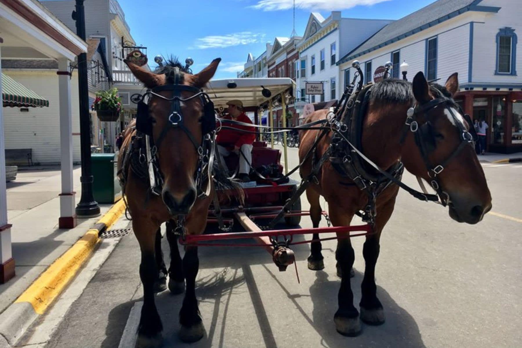 Murray Hotel Horses