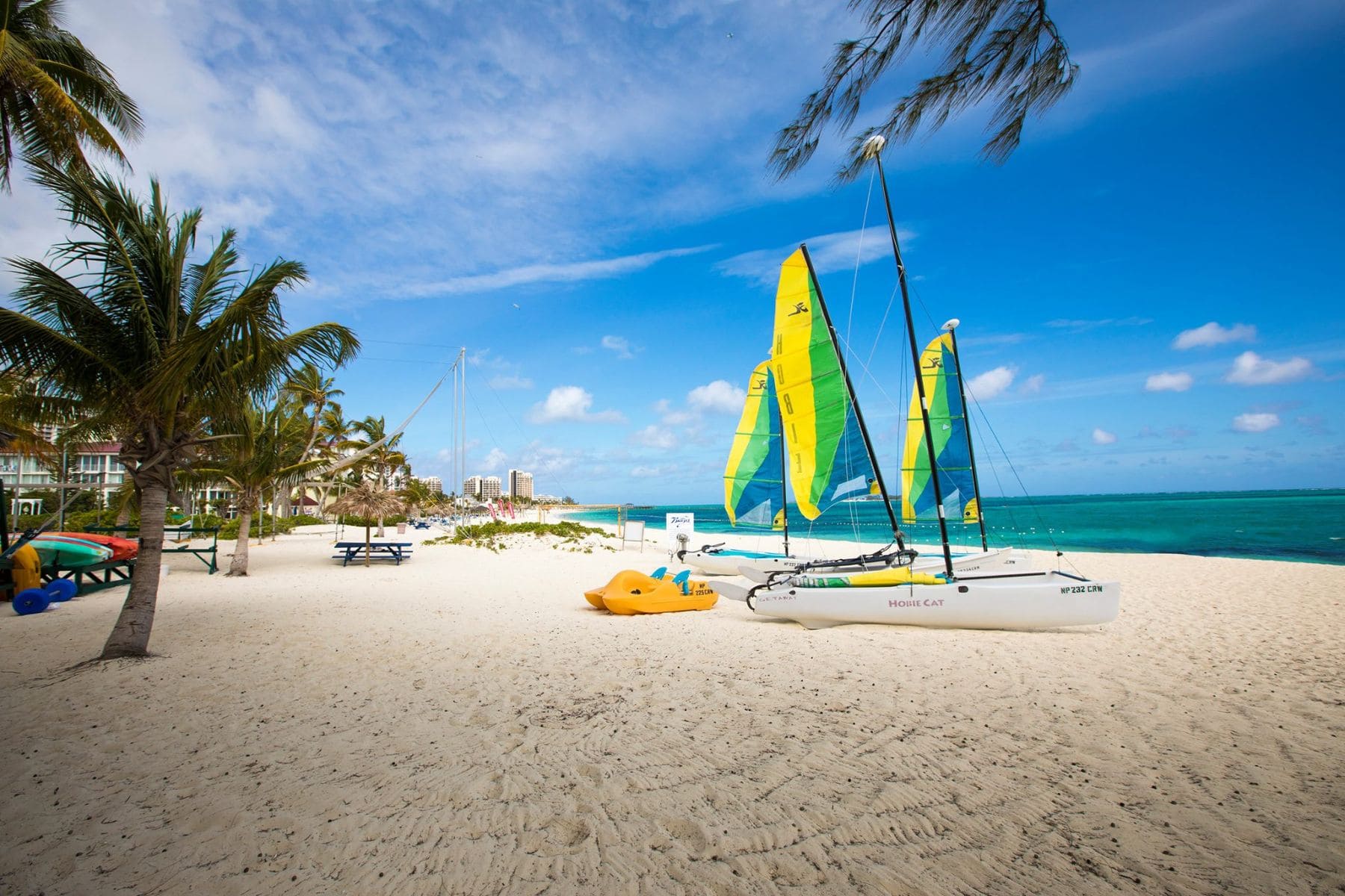 Ocean Activities