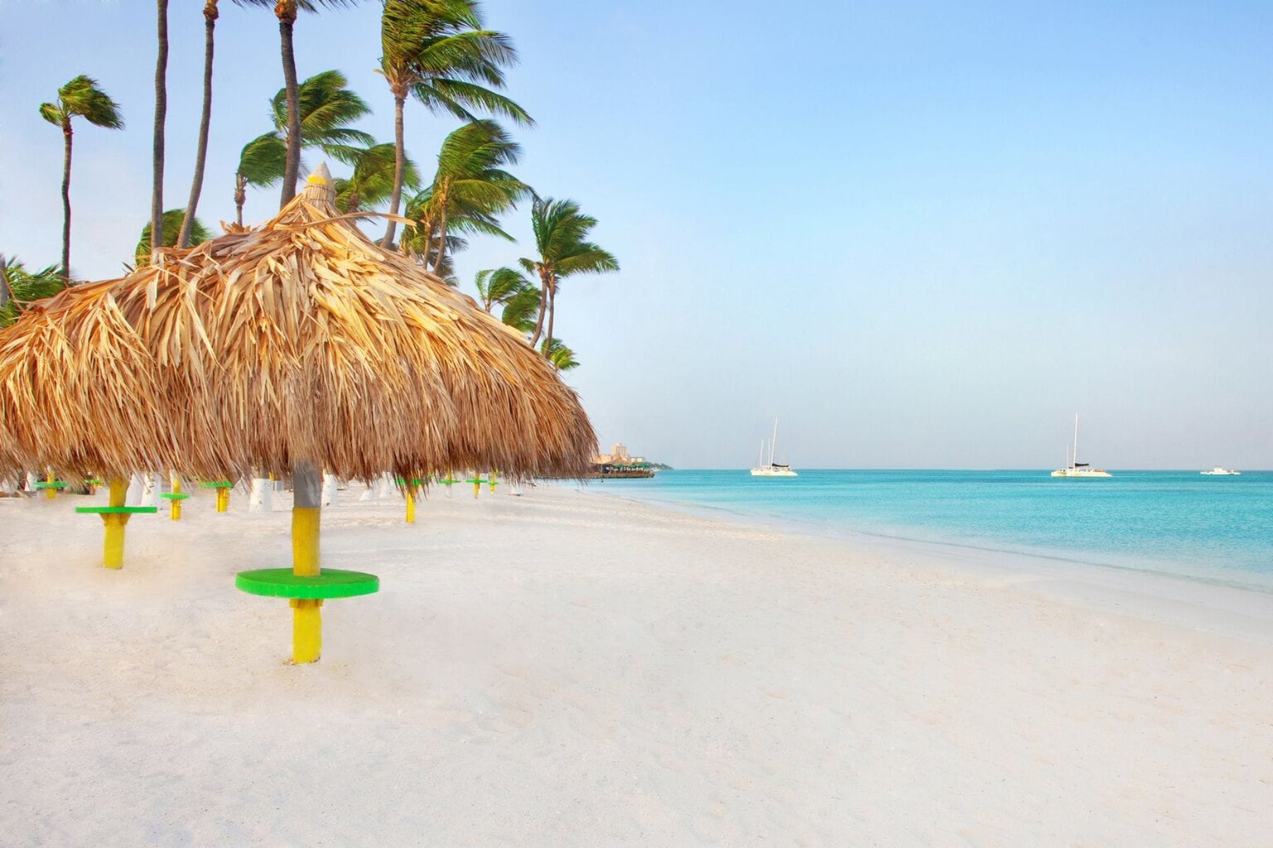 palm-beach-shade