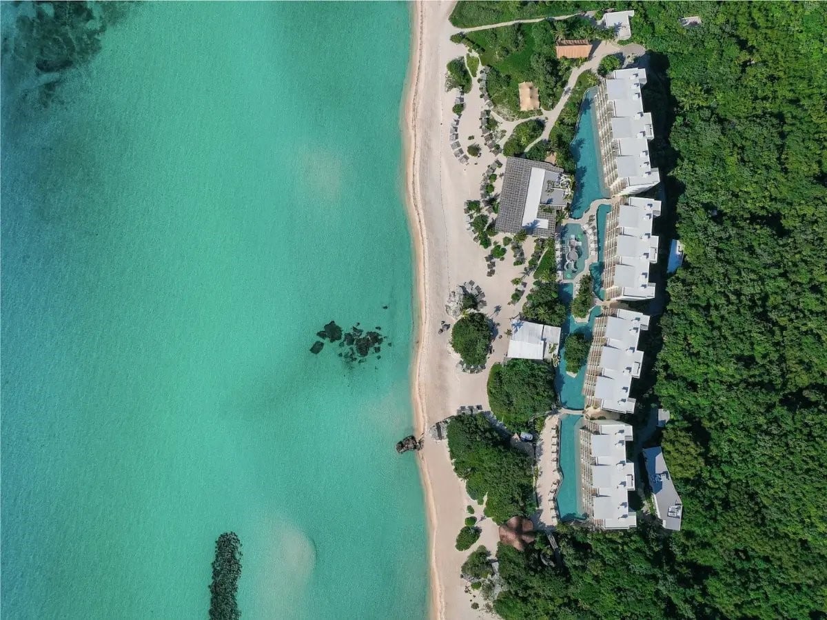 Palmaia Birds Eye View