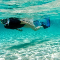 Take A Day Trip To Pearl Island