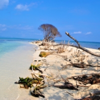 Pigeon Cay, Cat Island
