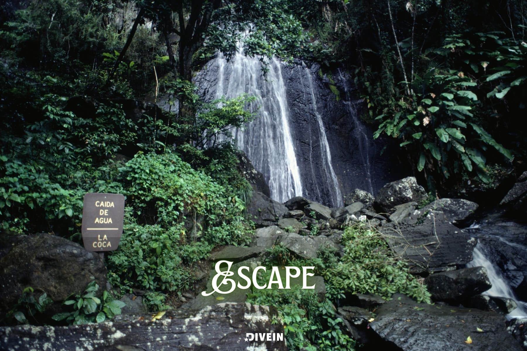 Puerto Rico Quotes And Captions For Instagram One Word