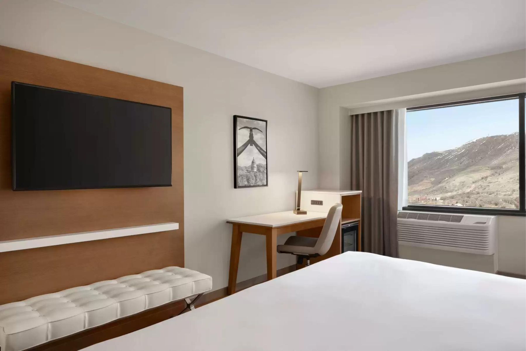 Radisson Hotel Downtown Salt Desk