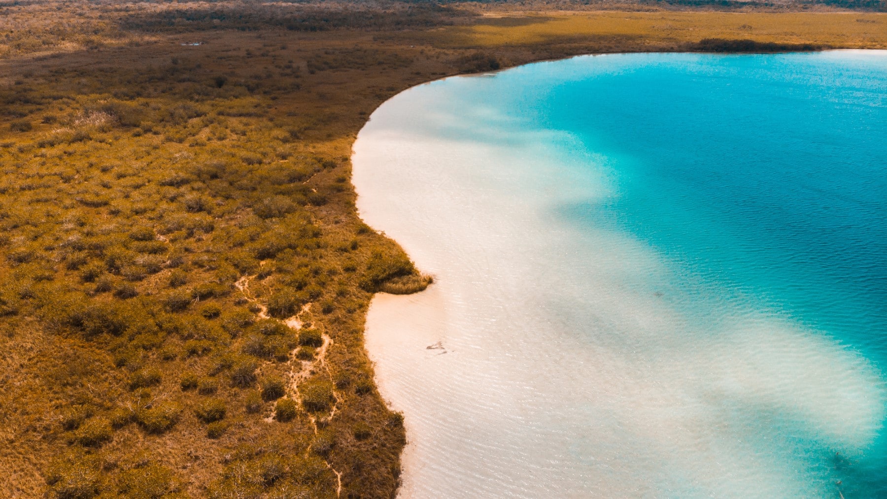 Explore The Sian Ka’an Biosphere