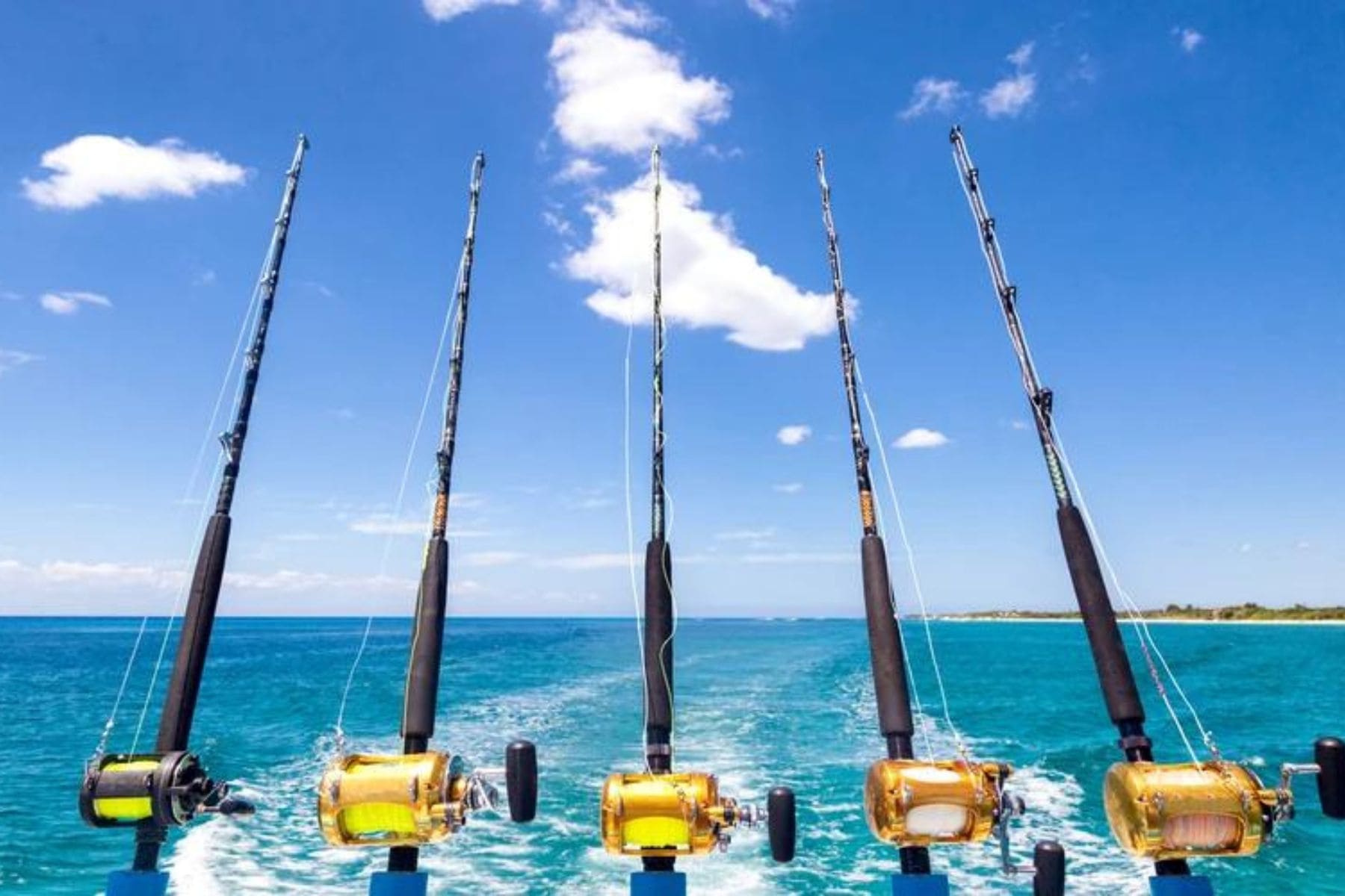 Rod Rentals And Bait