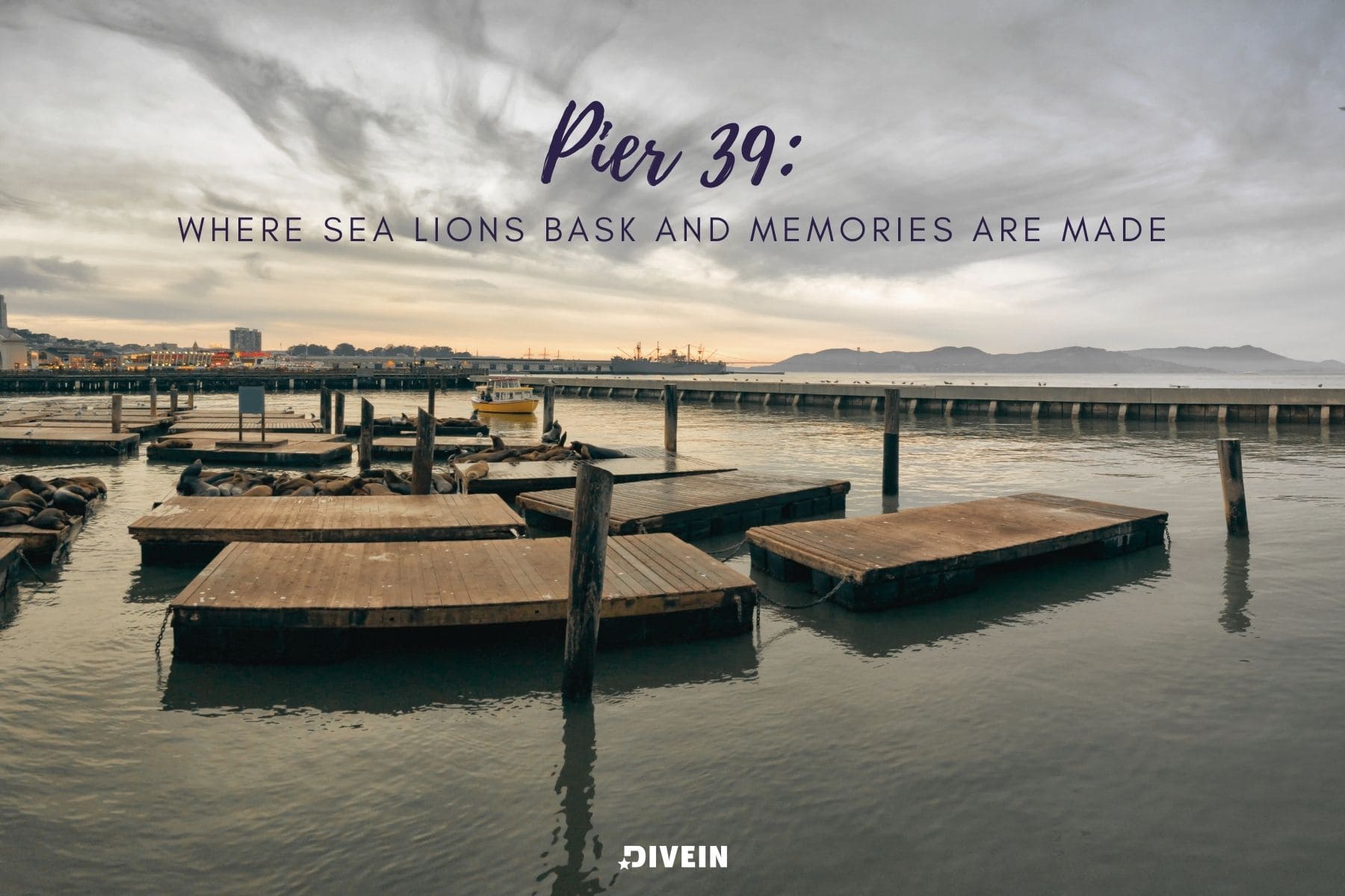 pier 39 instagram captions