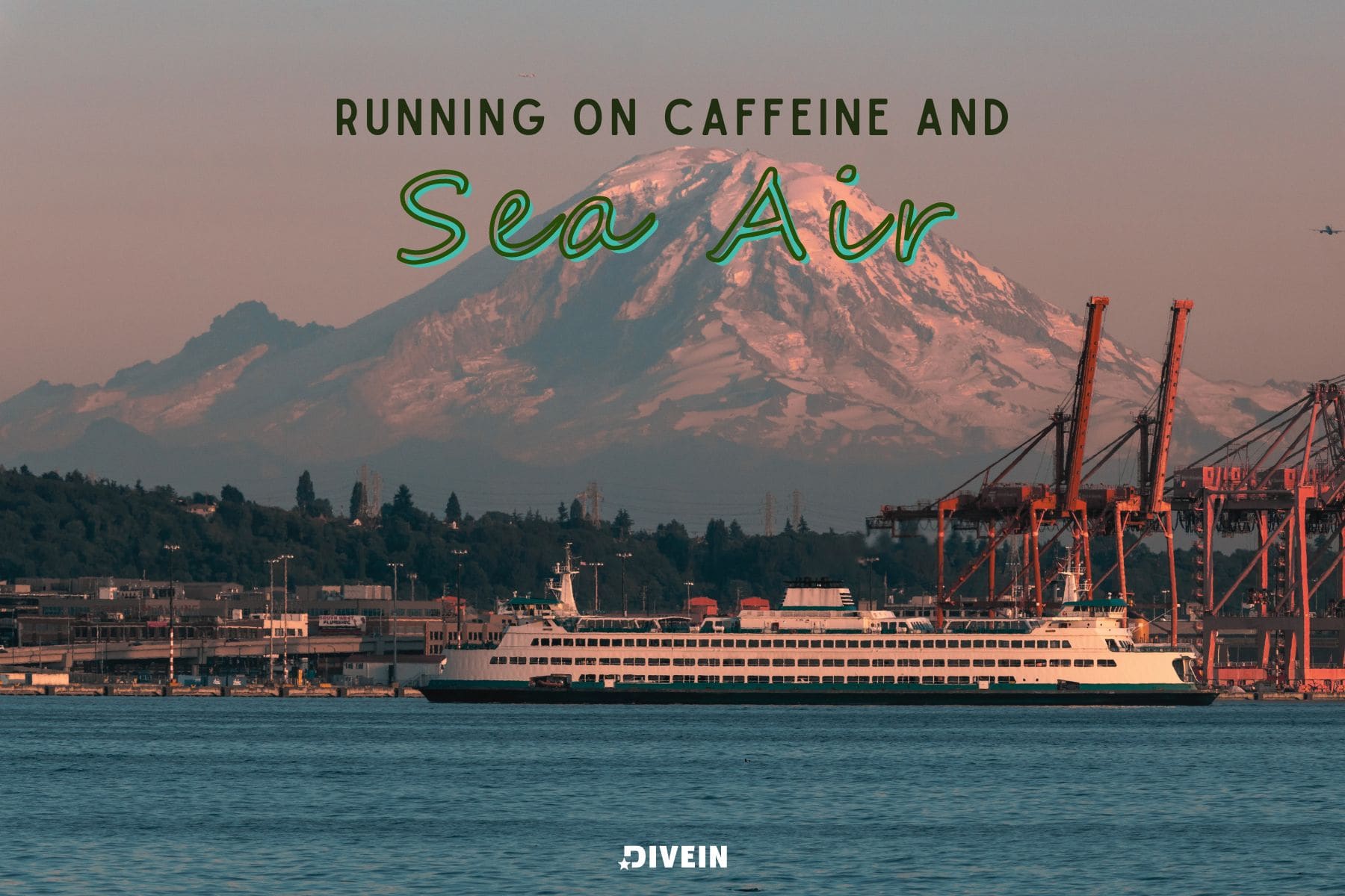 Seattle Quotes Captions Funny