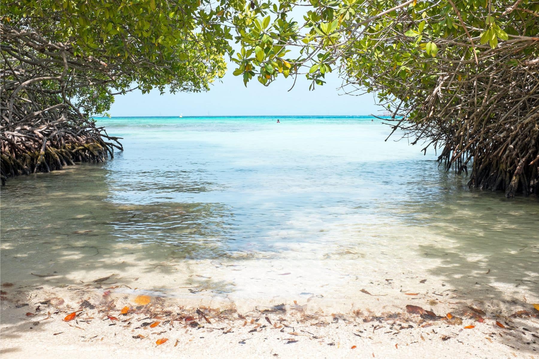 secluded swim aruba