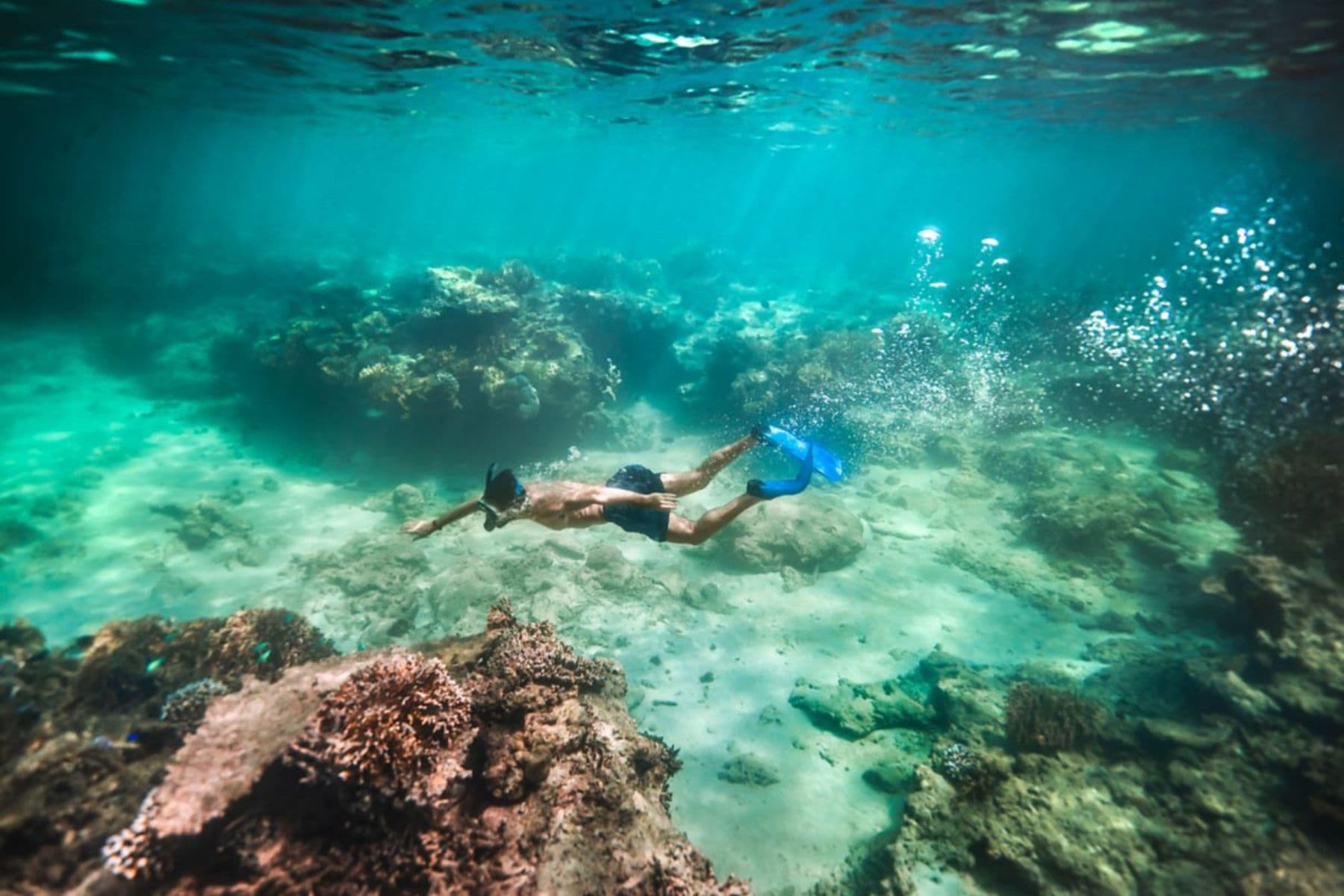 sheraton-fiji-golf-and-beach-resort-snorkel