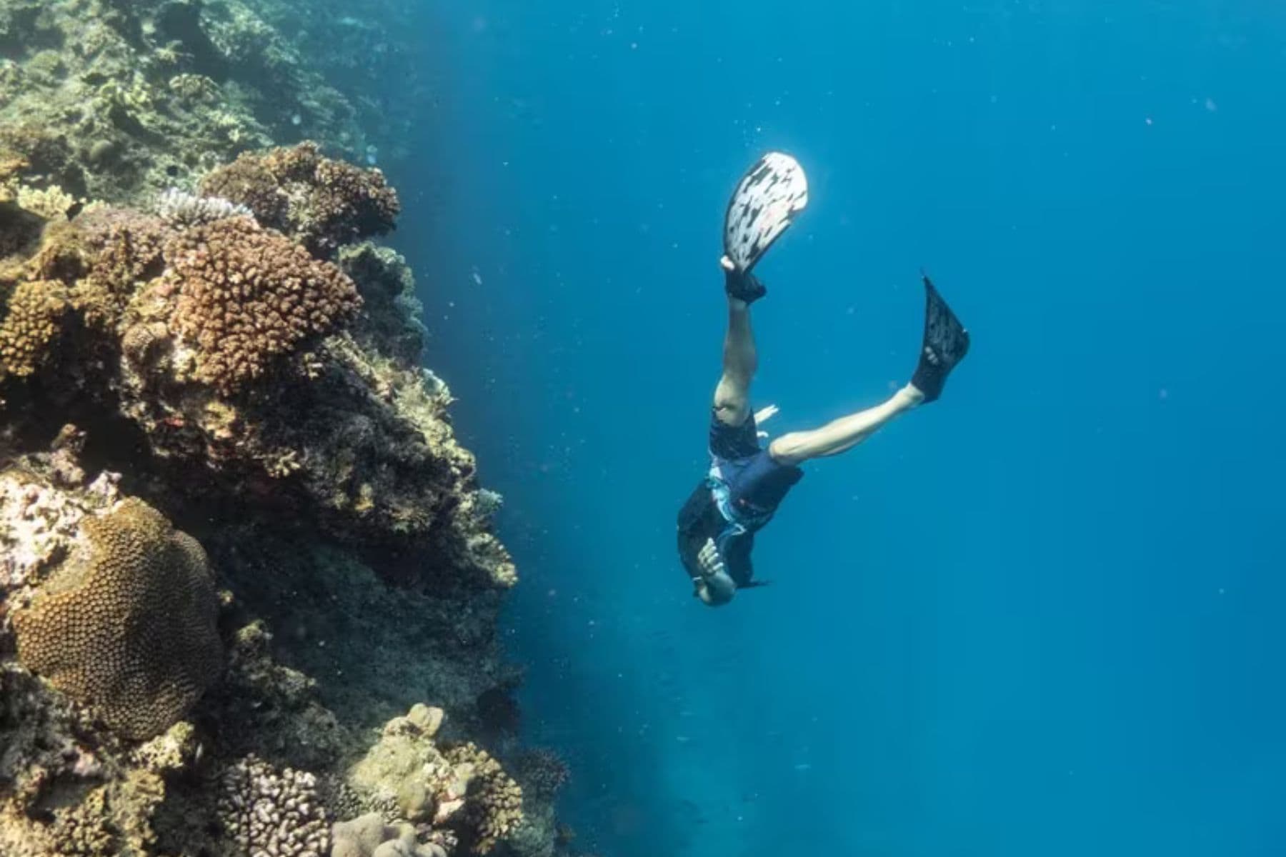 six-senses-fiji-underwater