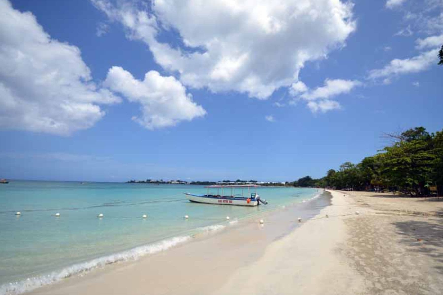 The Beach View