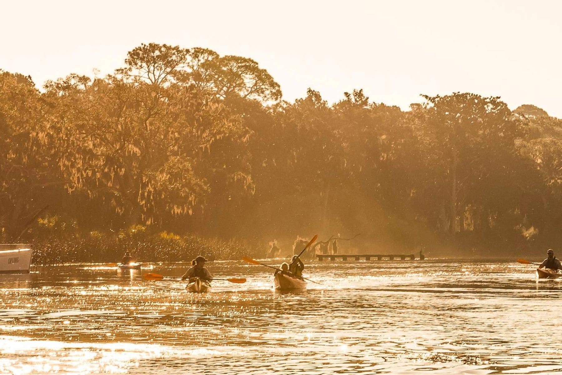 the-lodge-at-little-st-simons-island-georgia-kayak