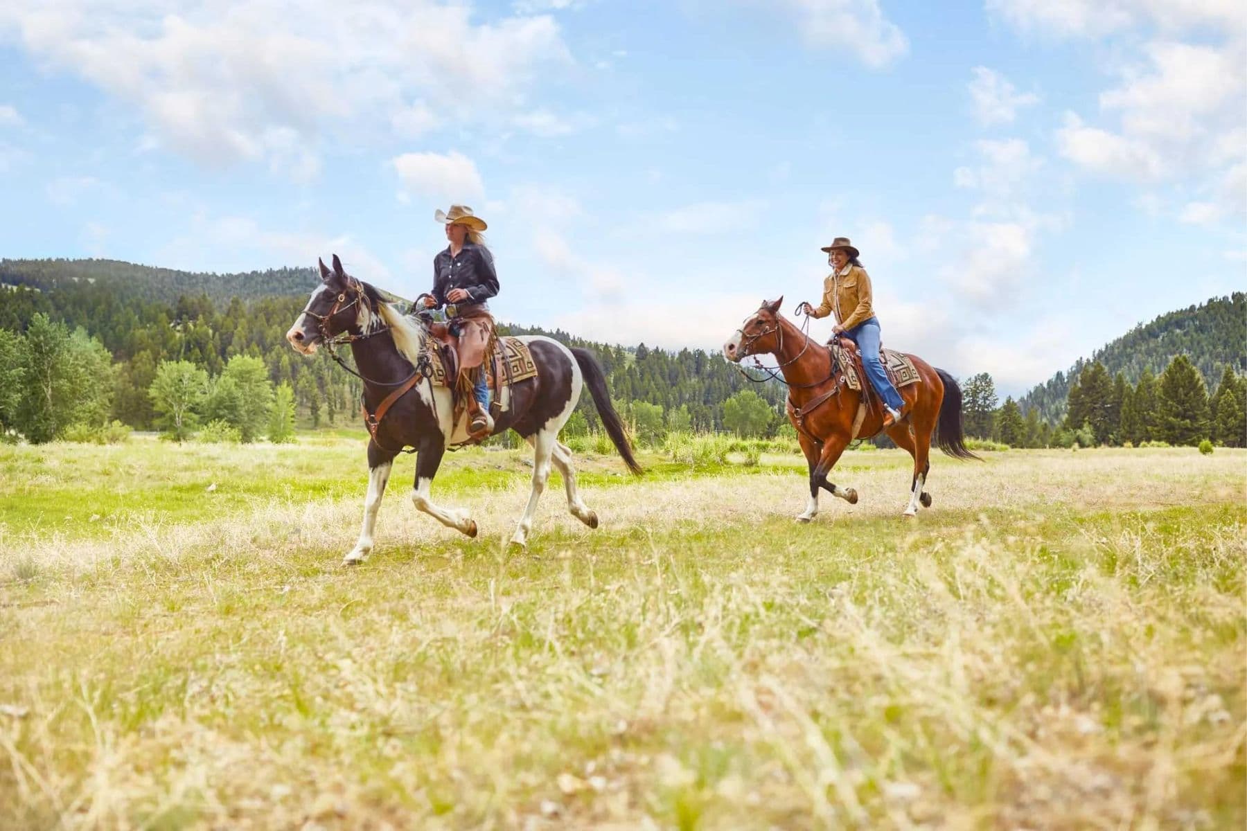 the-ranch-at-rock-creek-philipsburg-montana-horses