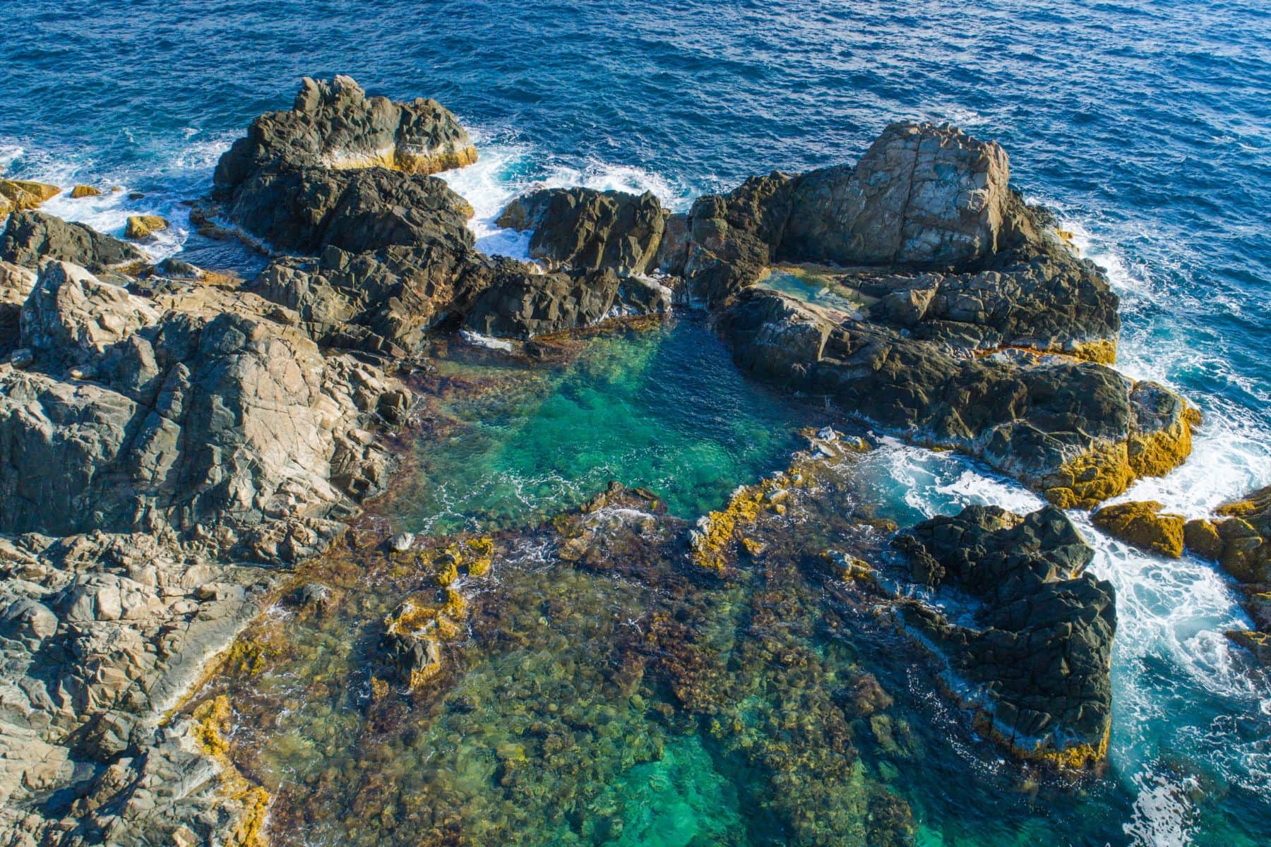 things-aruba-conchi