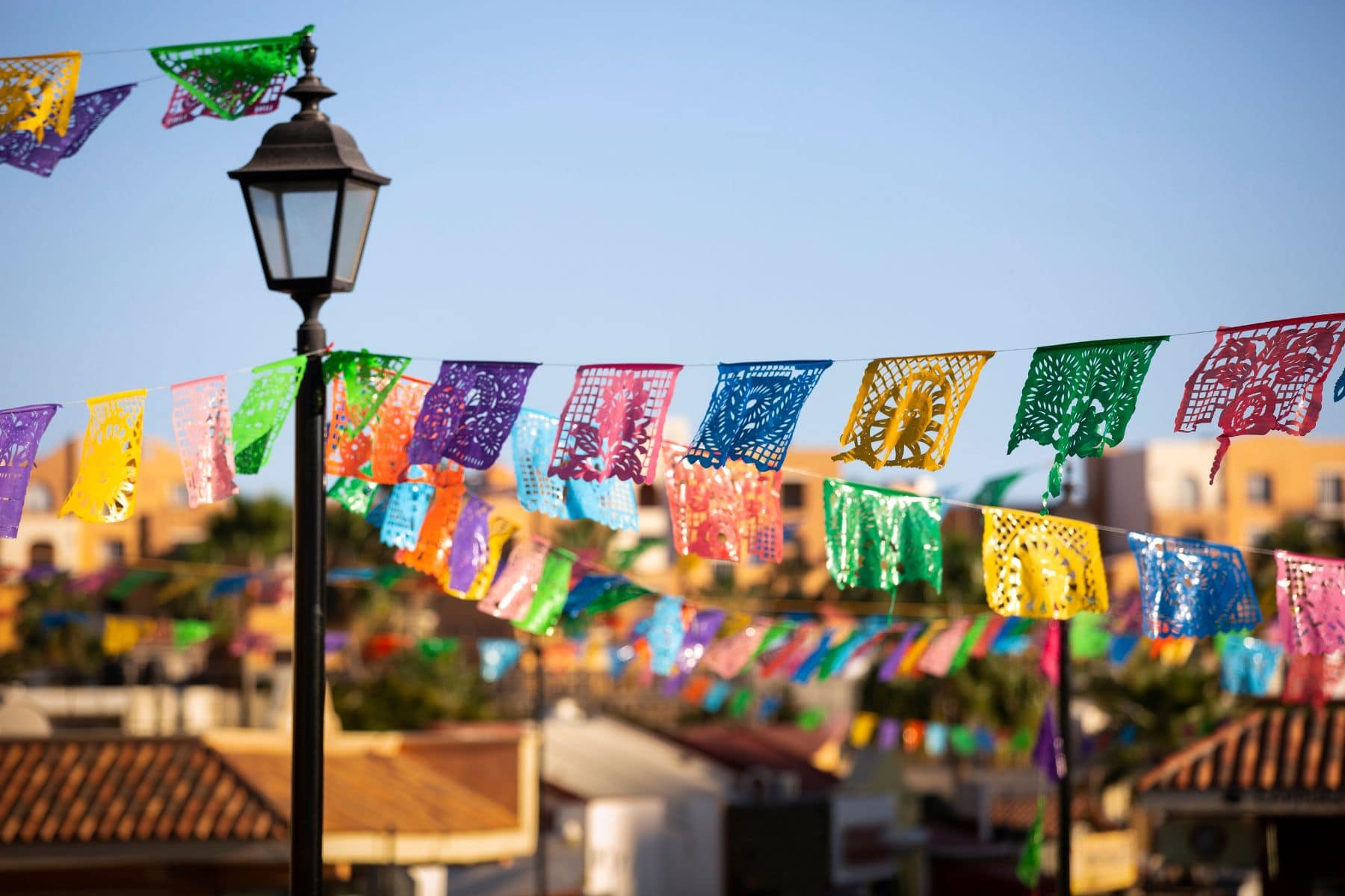 Things To Do Cabo San Lucas Downtown