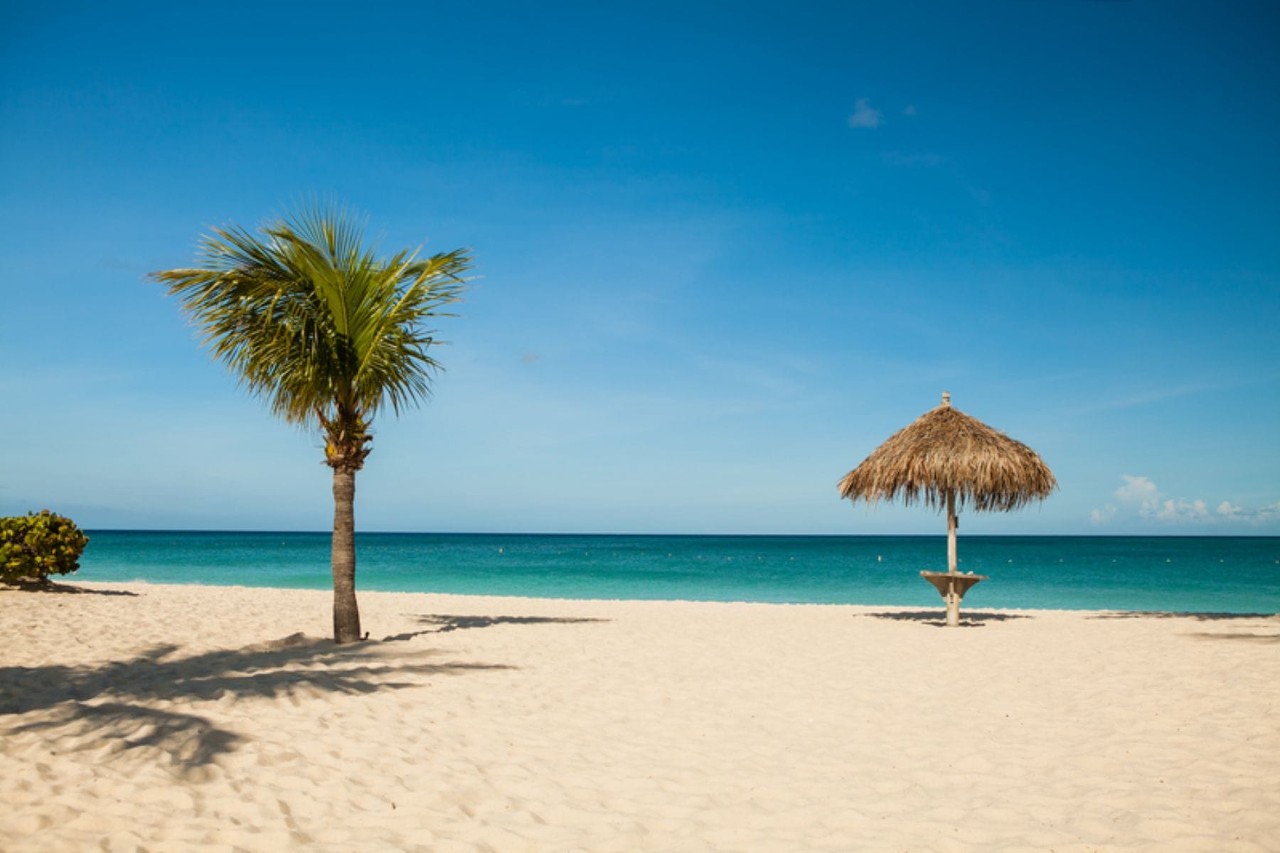 things-to-do-in-aruba-swim-eagle