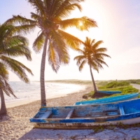 Explore Cozumel’s Rugged East Side