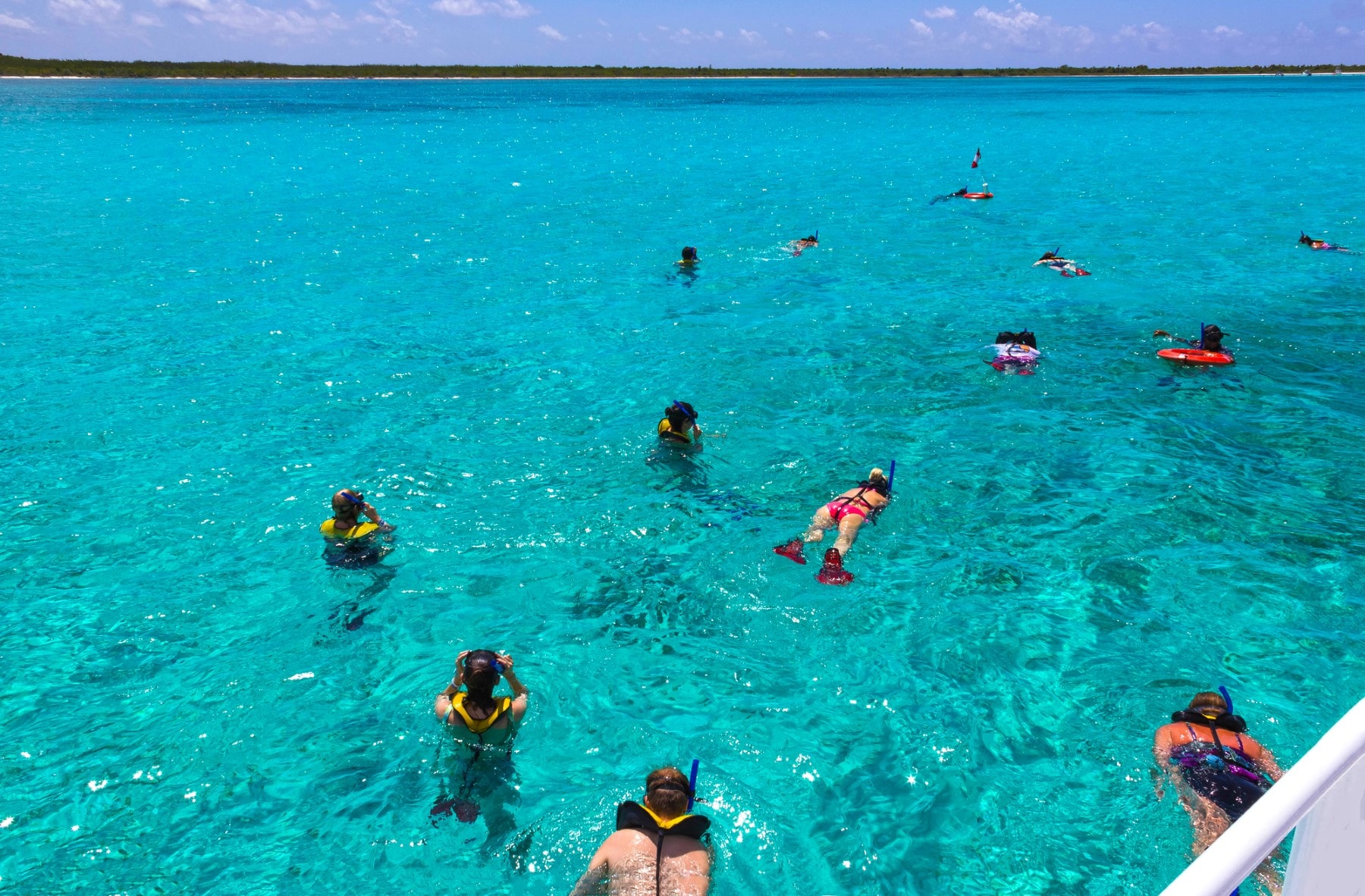 Snorkel With Sea Life