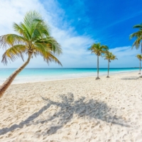 Take A Dip In The Ocean At Playa Paraiso