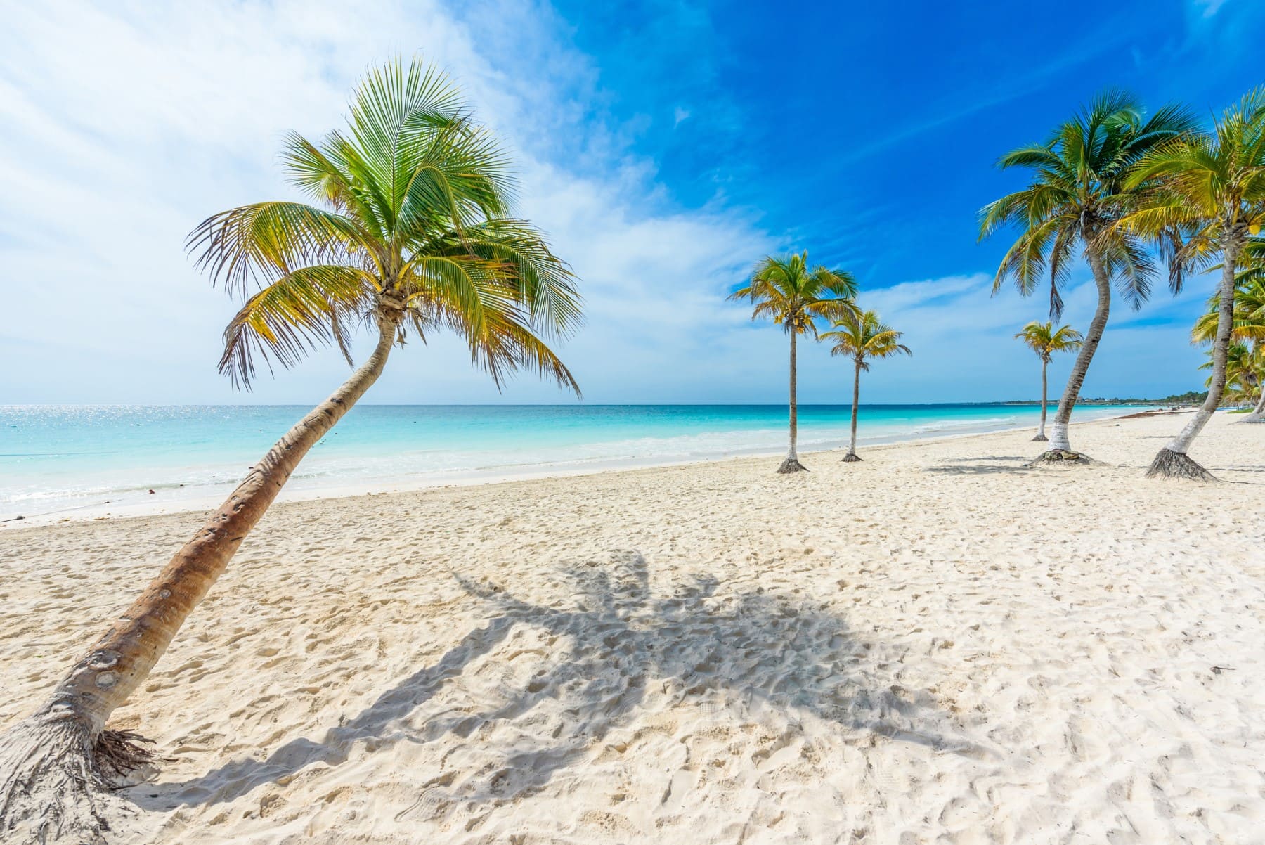 Take A Dip In The Ocean At Playa Paraiso