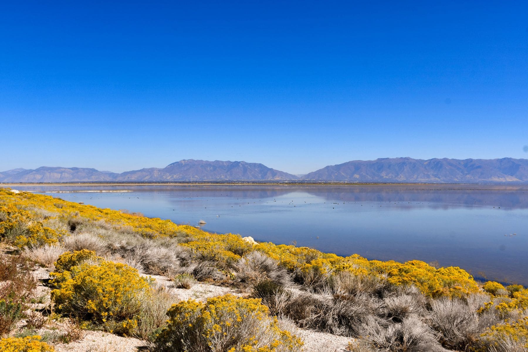 Visitors Guide To Salt Lake City Lake