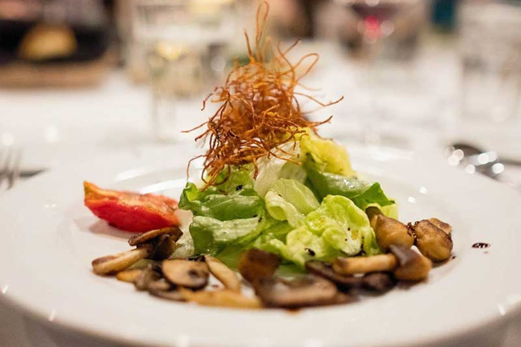 vista-verde-guest-ranch-clark-colorado-fine-cuisine