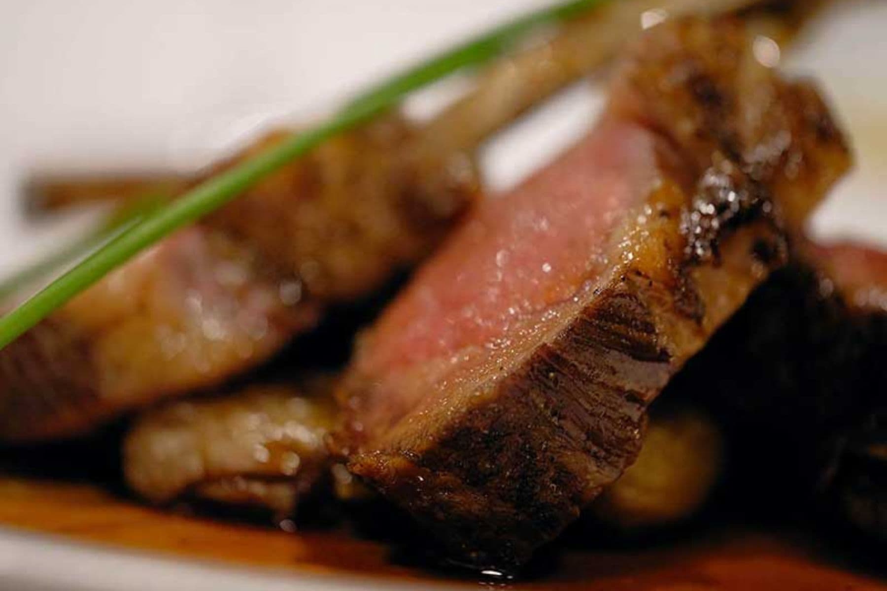 vista-verde-guest-ranch-clark-colorado-steak