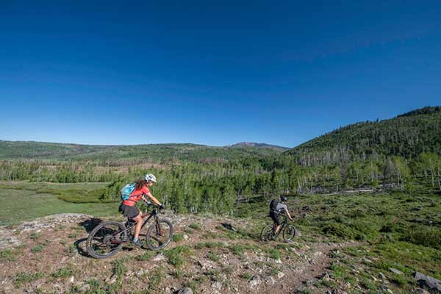 vista-verde-guest-ranch-clark-colorado-vista-biking
