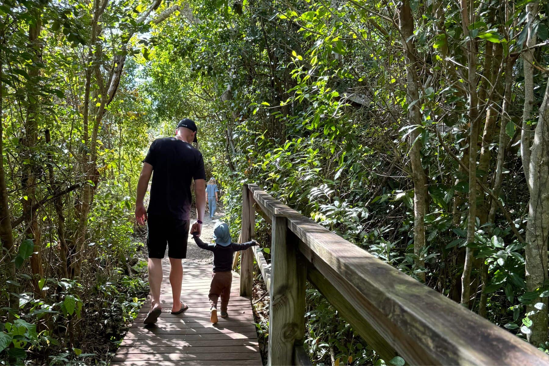 viva-fortuna-wyndham-beach-resort-advertorial-lucayan-national-park