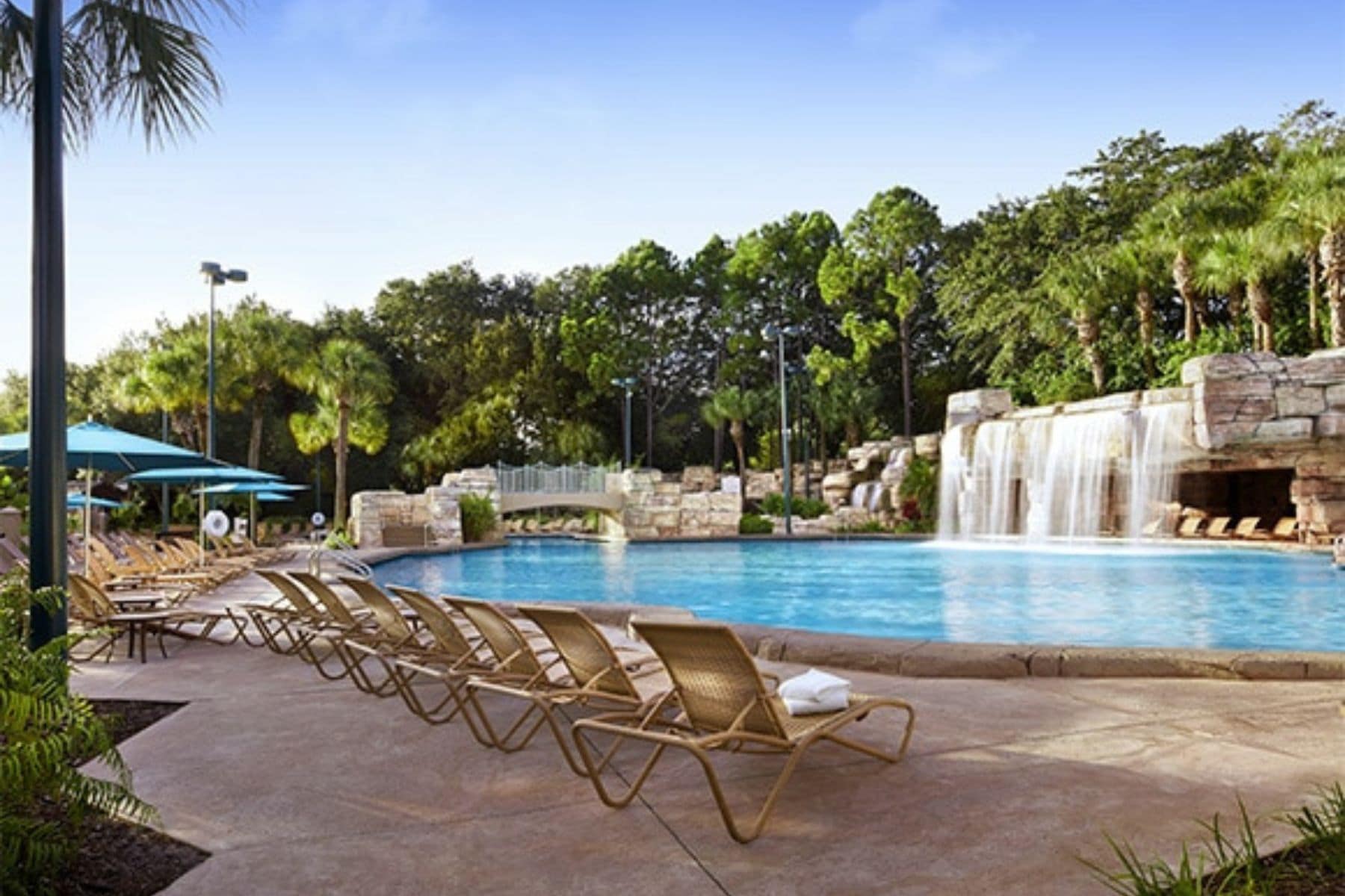Walt Disney World Swan And Dolphin Resorts Pool