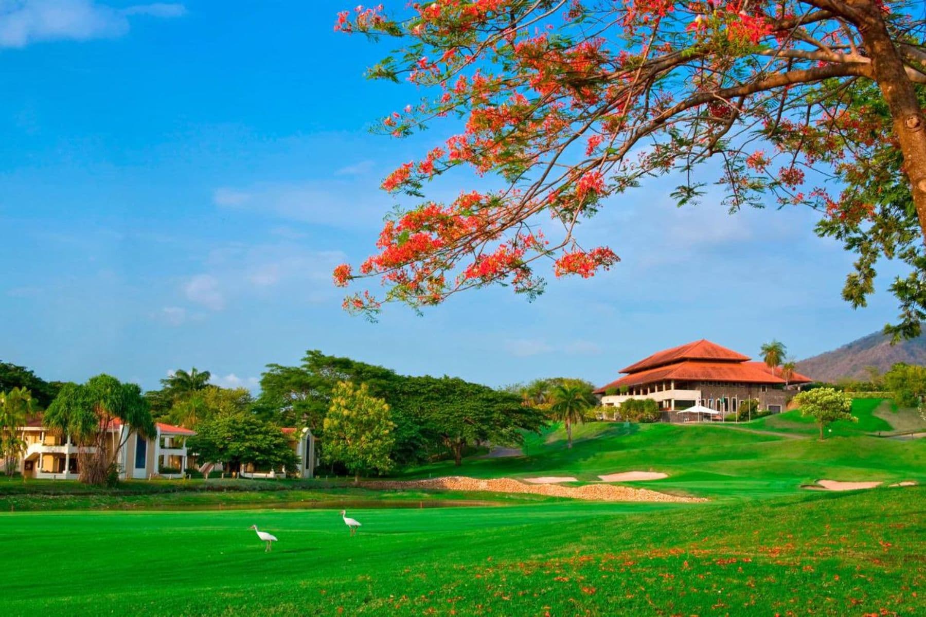 westin-reserva-conchal-golf-resort-and-spa-golf