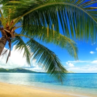 Where is Fiji?