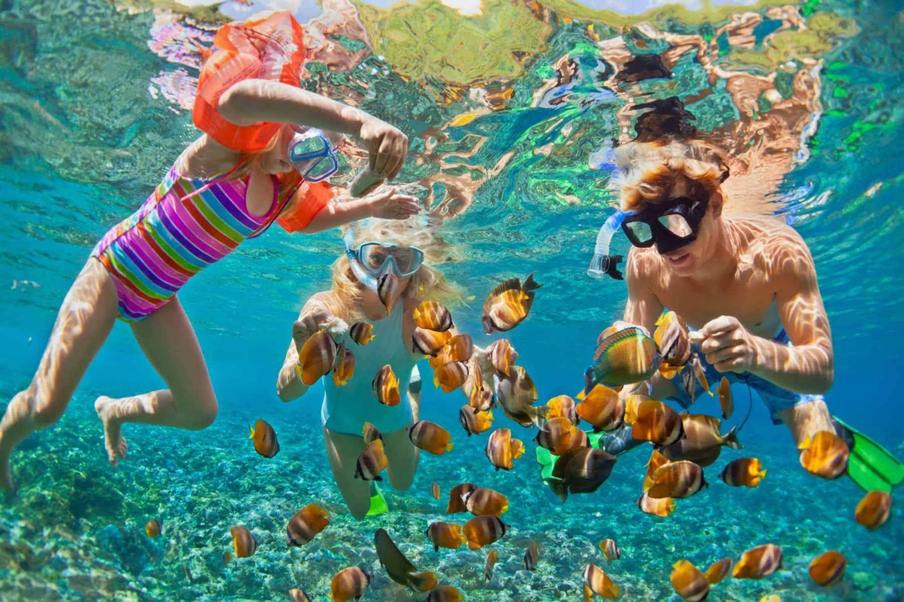 windjammer-landing-villa-beach-resort-snorkel