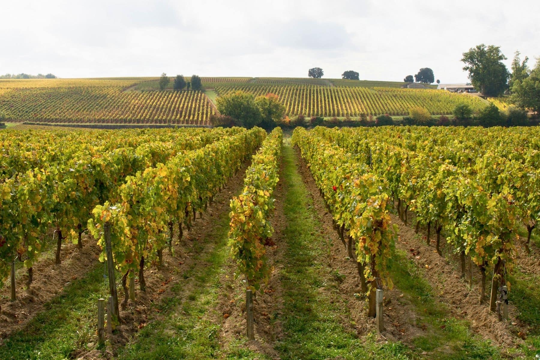 Wine Regions Of Bordeaux
