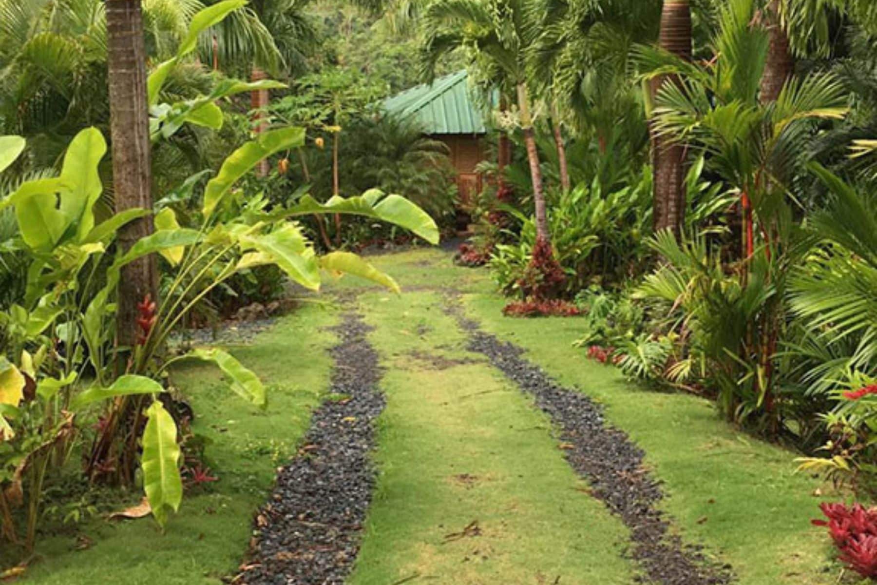 yuquiyu-treehouses-driveway