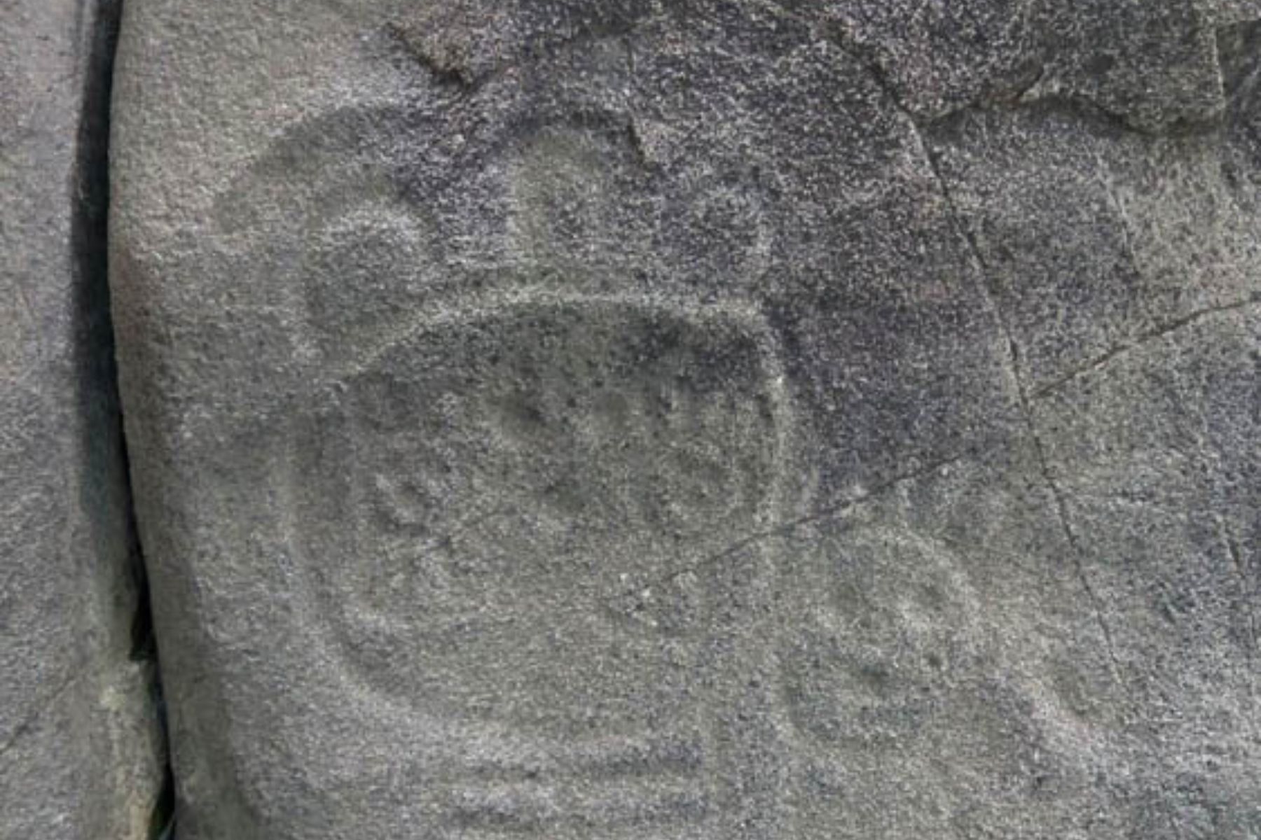 yuquiyu-treehouses-petroglyph
