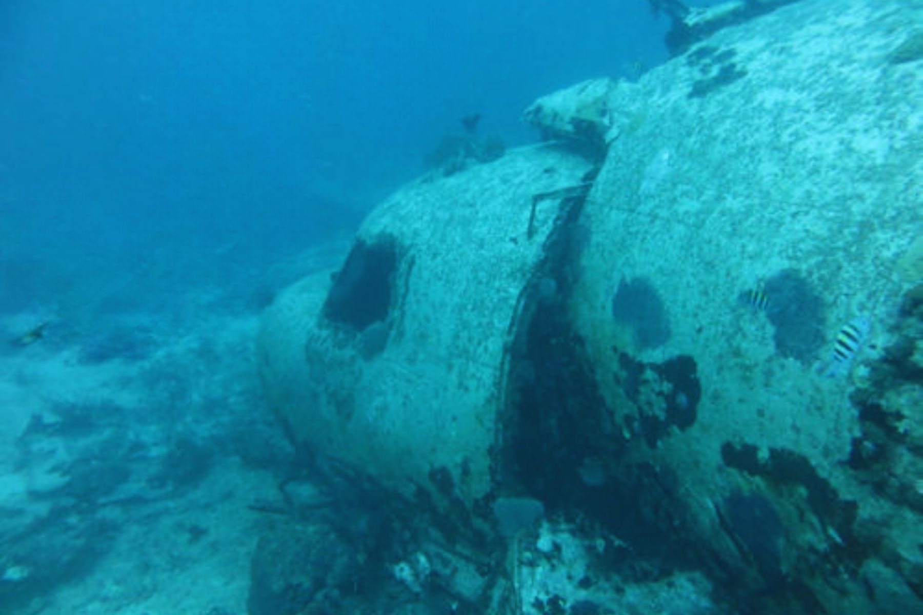 All Inclusive Family Resorts In Aruba Renaissance Dive Site