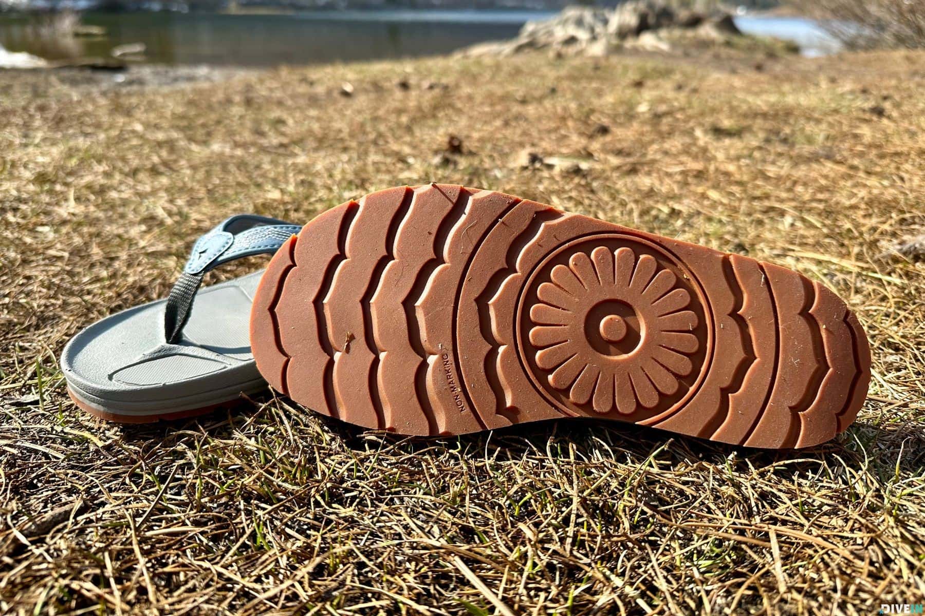 Astral Rosa Filipe Flip Flops Bottom