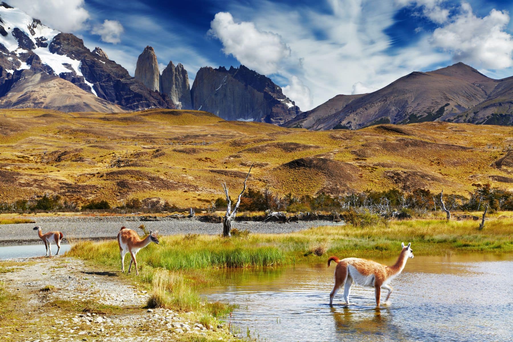 Bucket List Trips For A Lifetime Of Travel Patagonia