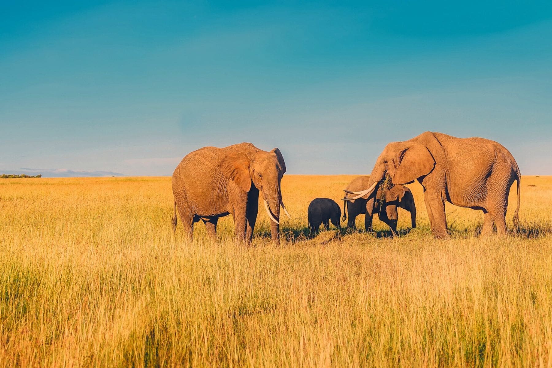Bucket List Trips For A Lifetime Of Travel South Africa