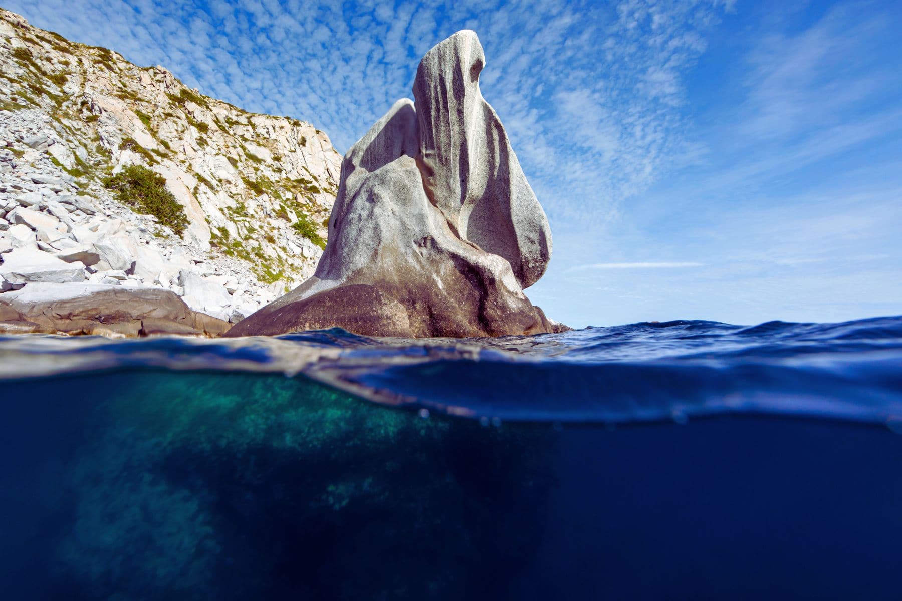 Cabo Pulmo National Marine Park Dive Spot