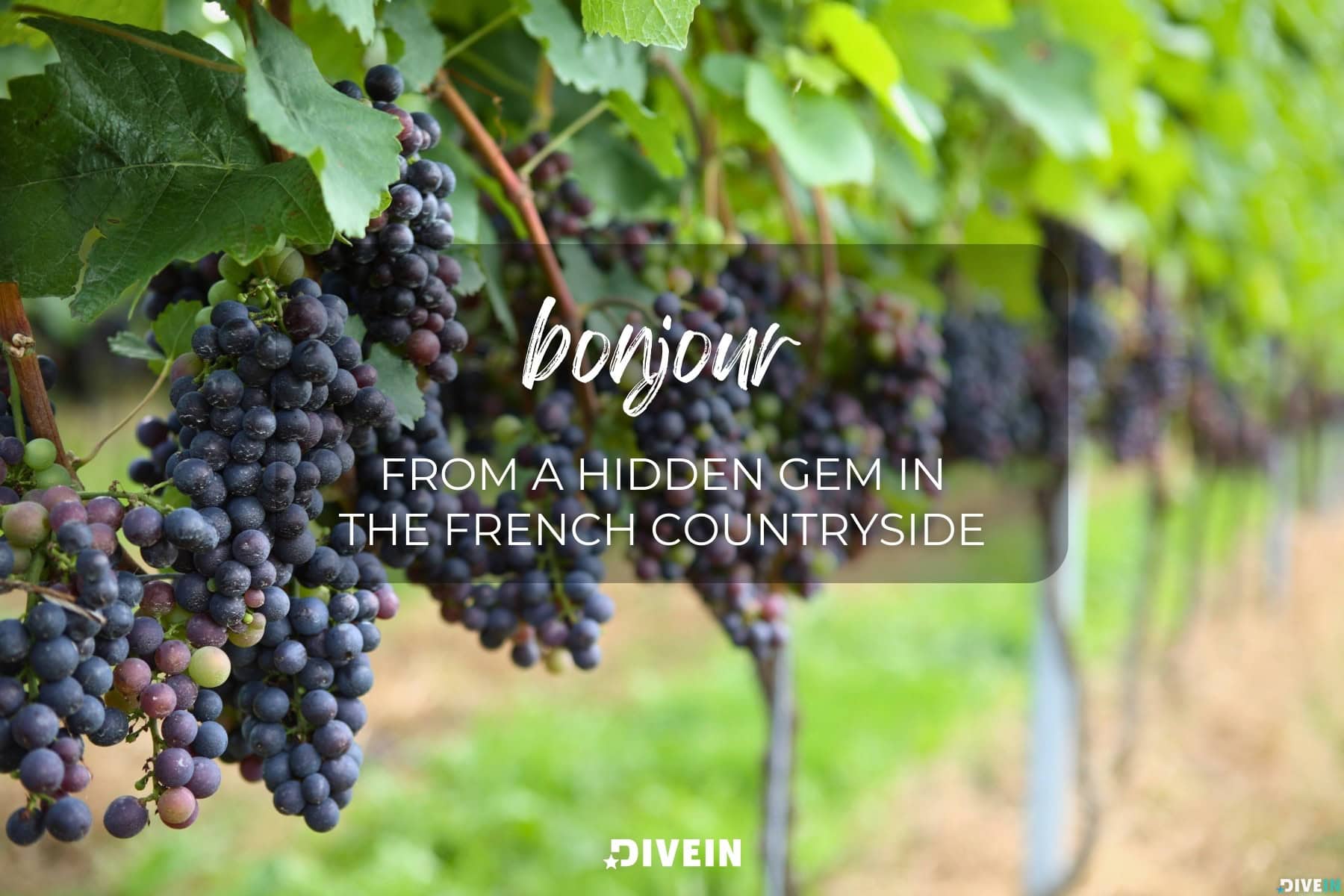france travel captions. bonjour from a hidden gem in the french countryside.