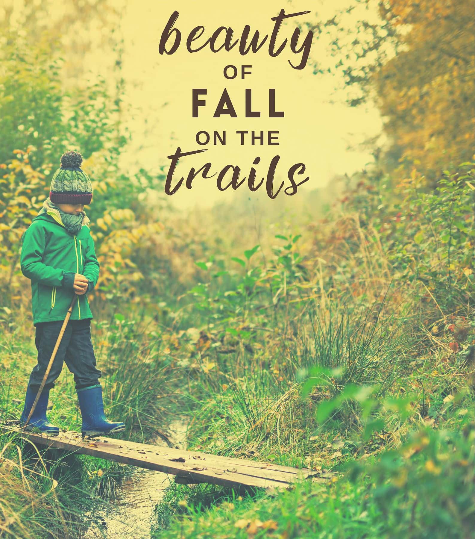 Fall Hiking Captions For Instagram. Embrace the beauty of fall on the trails.