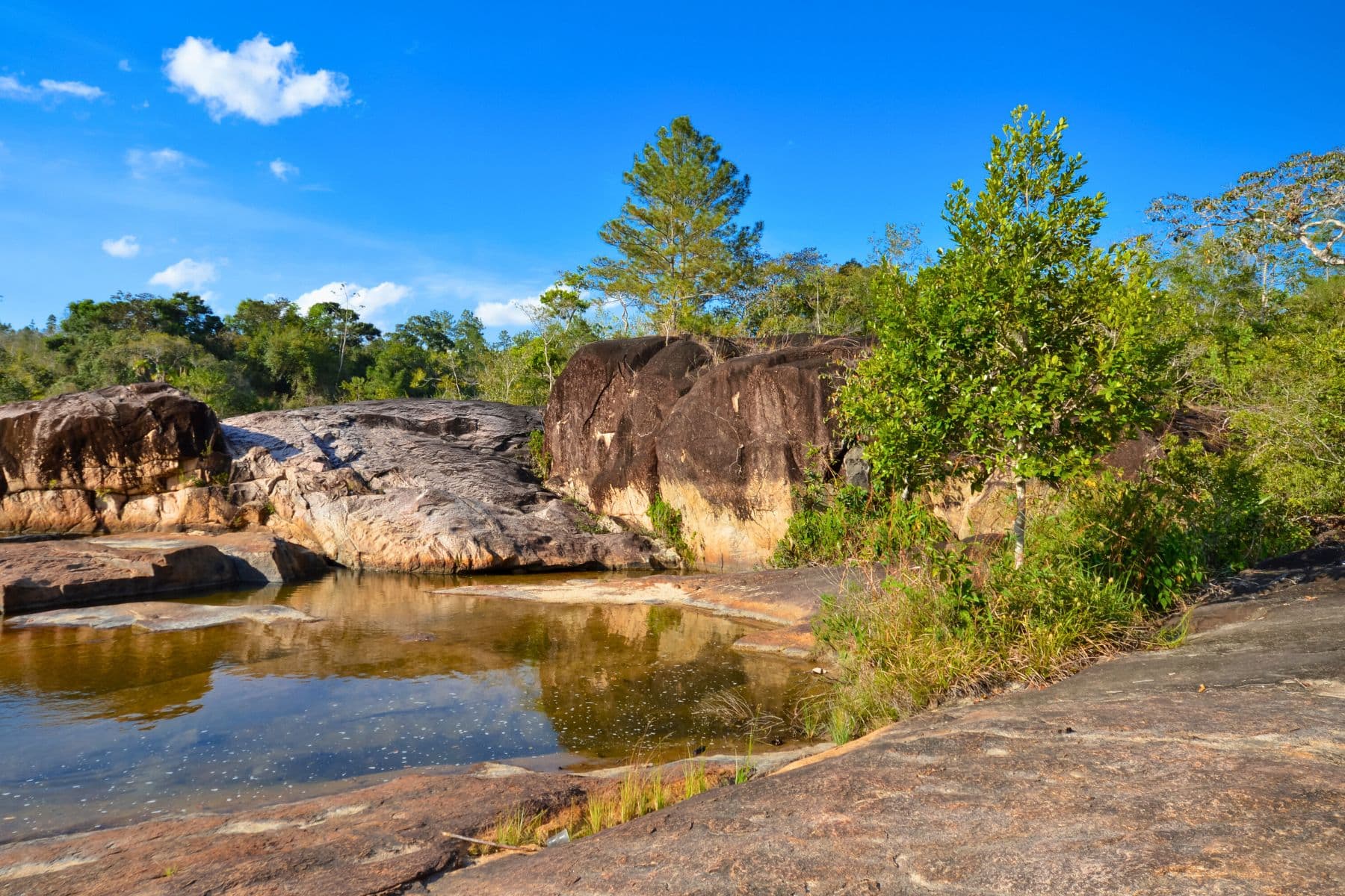Most Beautiful Places In Belize Mountain Pine