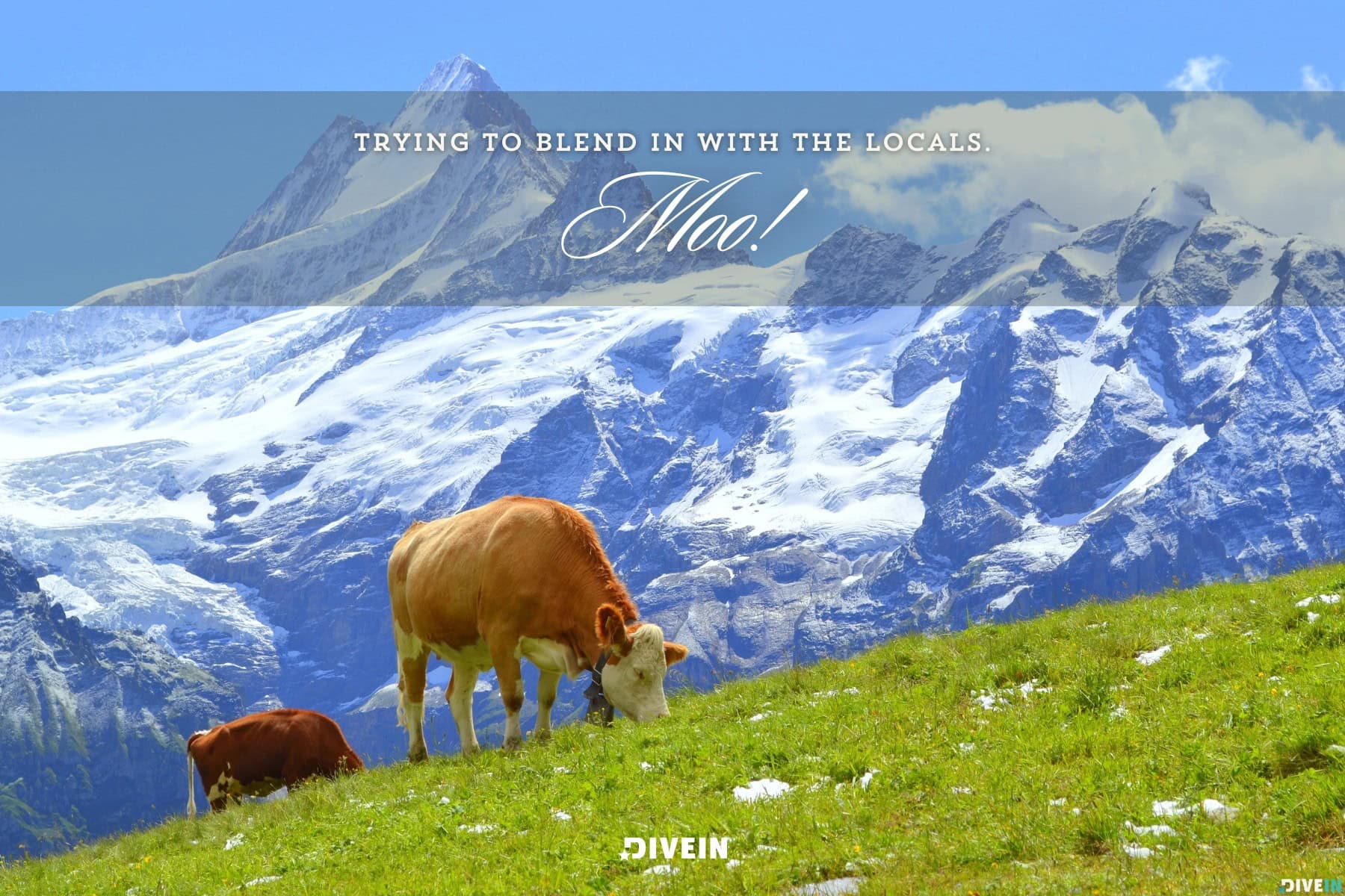 funny switzerland captions